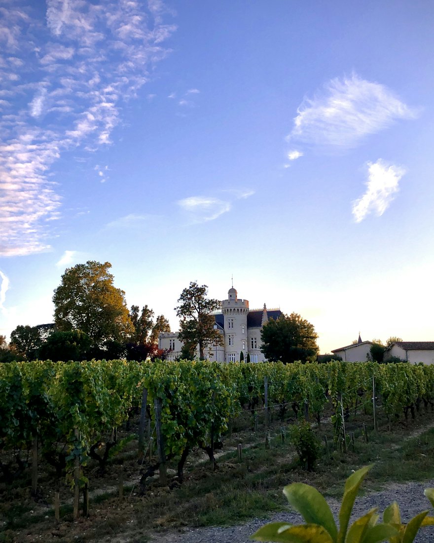Rangs de vigne menant à une église
