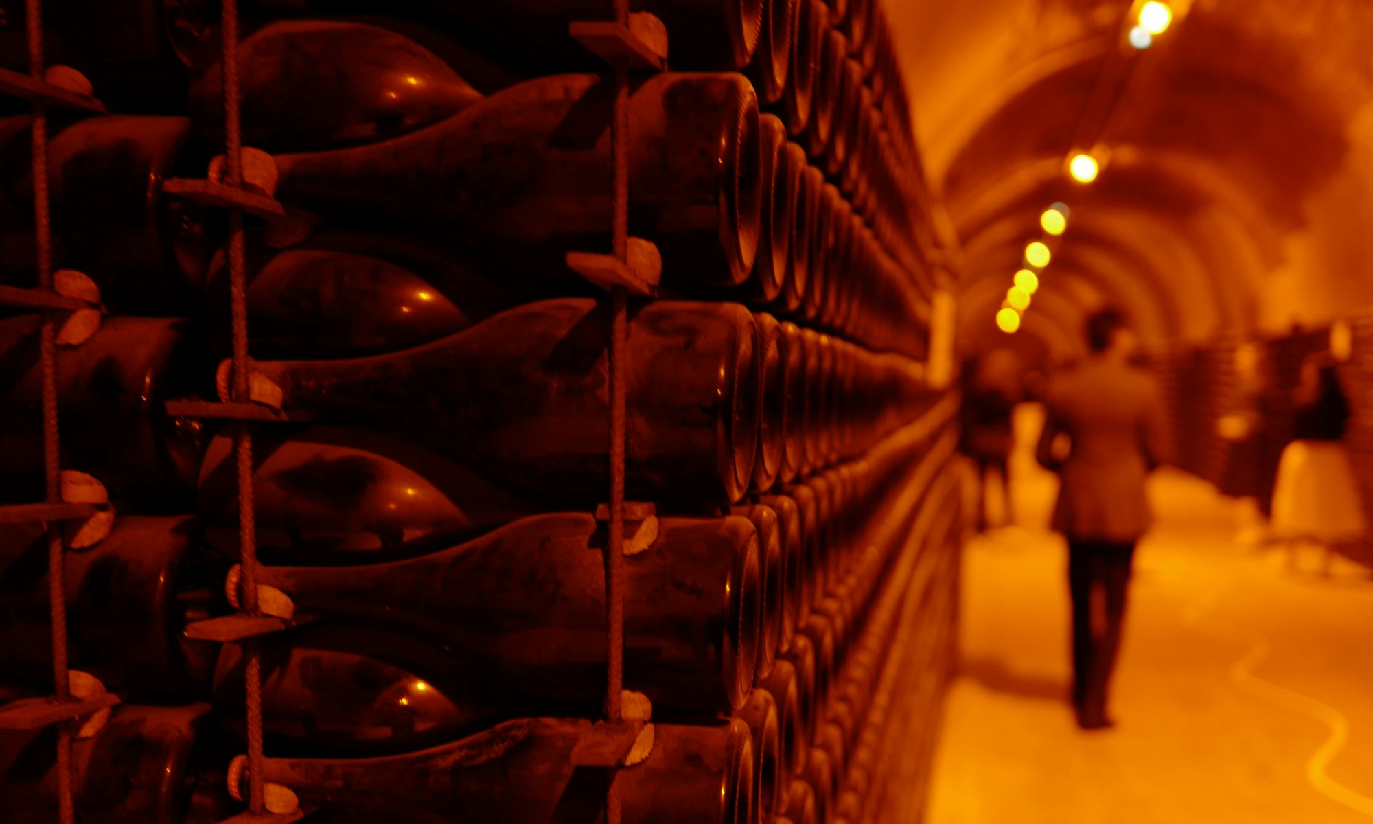 Des invités parcourant une cave de Champagne