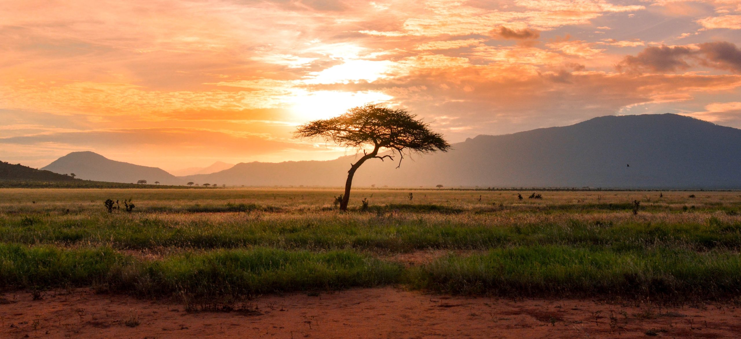Coucher de soleil au Kenya